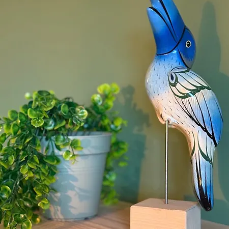 Liana - Spa- Sauna Hébergement de vacances *