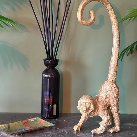 Liana - Spa- Sauna Hébergement de vacances Rorschwihr